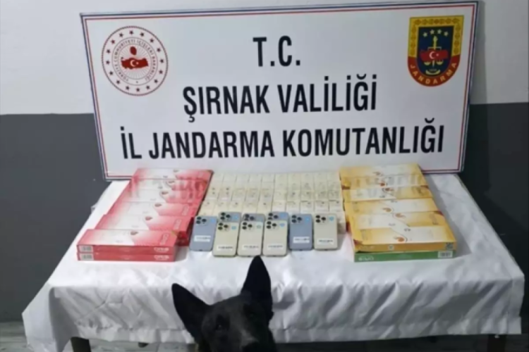 Şırnak'ta ka&ccedil;ak&ccedil;ılık operasyonu! 103 ş&uuml;pheli yakalandı!