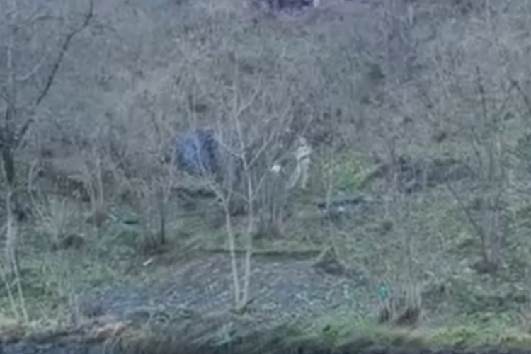 Patpat, fındık bah&ccedil;esine yuvarlandı! &Ouml;l&uuml; ve yaralı var...