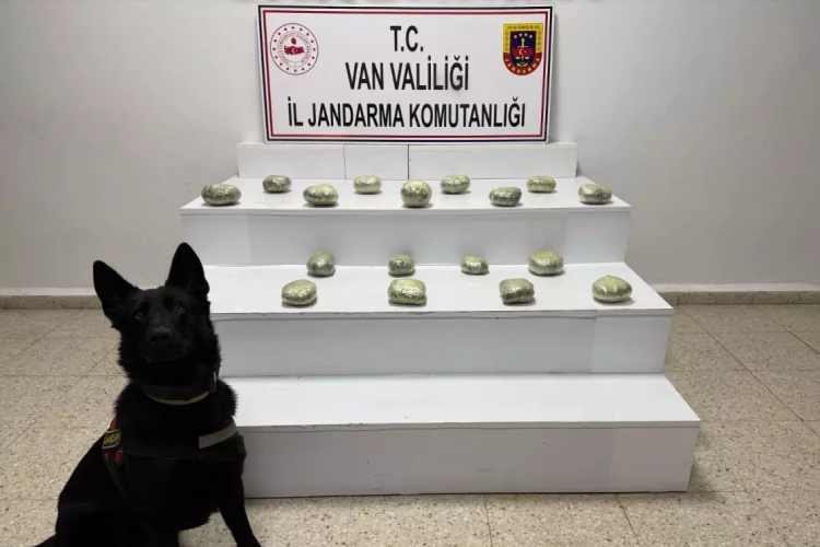Van'da bir arazide kilo kilo uyuşturucu bulundu!