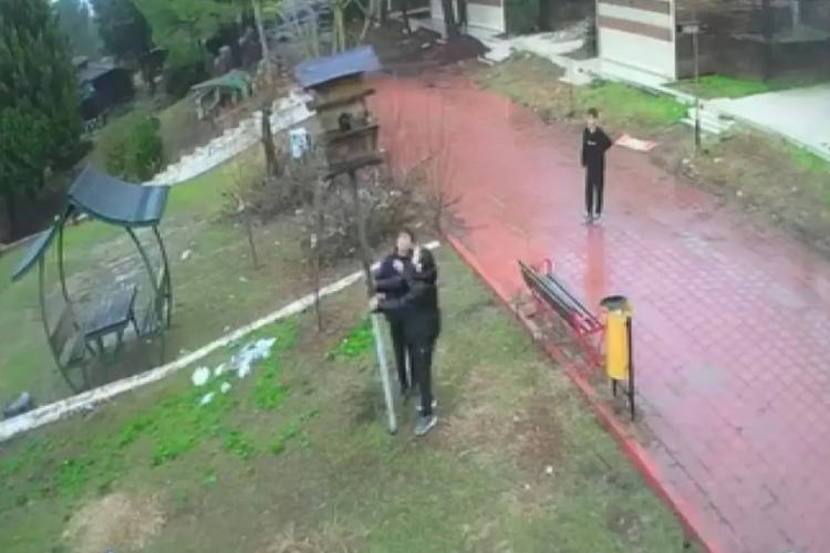 Kuş yuvasını parçalayan çocuklara ev hapsi