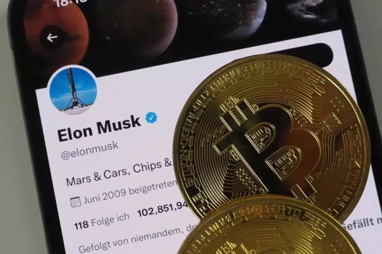 Elon Musk'ın xAI şirketi kripto uzmanı arıyor