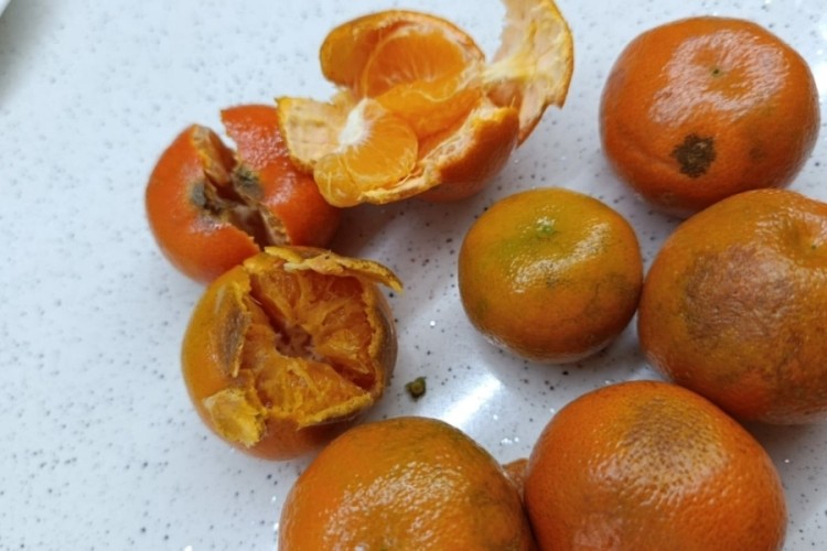 Pazardan aldı, &ccedil;&uuml;r&uuml;k &ccedil;ıktı! Vatandaş mağdur