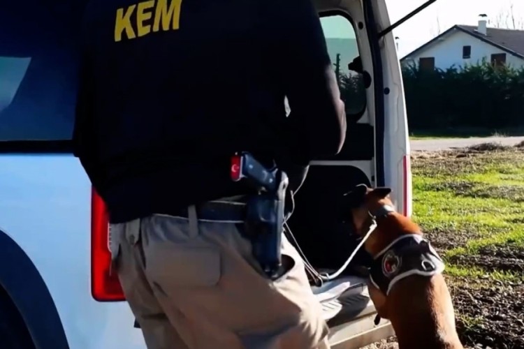 Bolu'da 11 farklı adrese uyuşturucu operasyonu