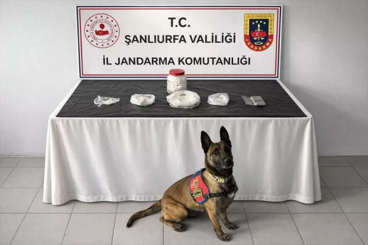 Şanlıurfa'da uyuşturucu operasyonunda 1 ş&uuml;pheli yakalandı