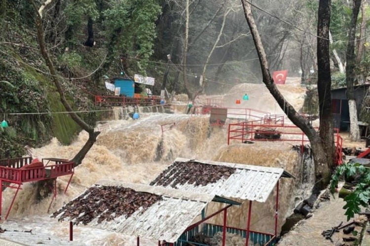 Oba Çayı taştı: İşletmeleri su bastı