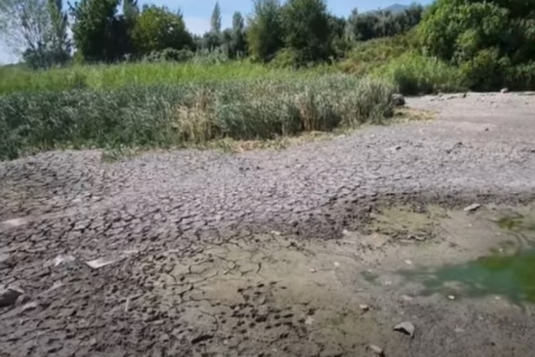 Bursa'da yağışlar yüzleri güldürdü!