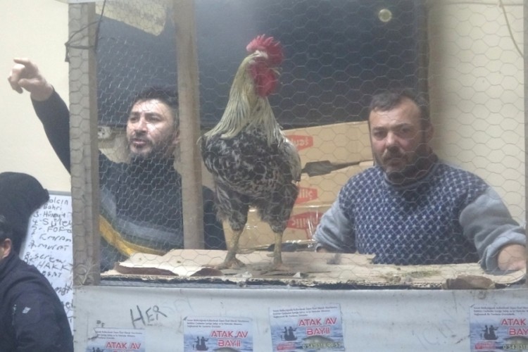 Bursa'dan Kütahya'ya bunun için gidiyorlar: Fiyatları el yakıyor