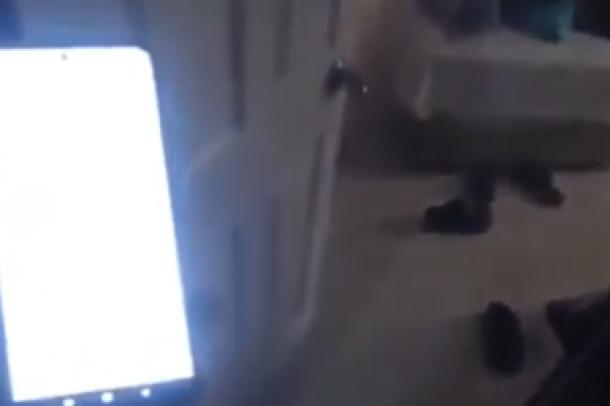 Evine sipariş götürdüğü kadını kayda alıp paylaştı!