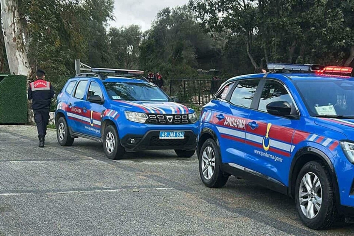 Muğla'da 2 köpeği vurarak öldürdü