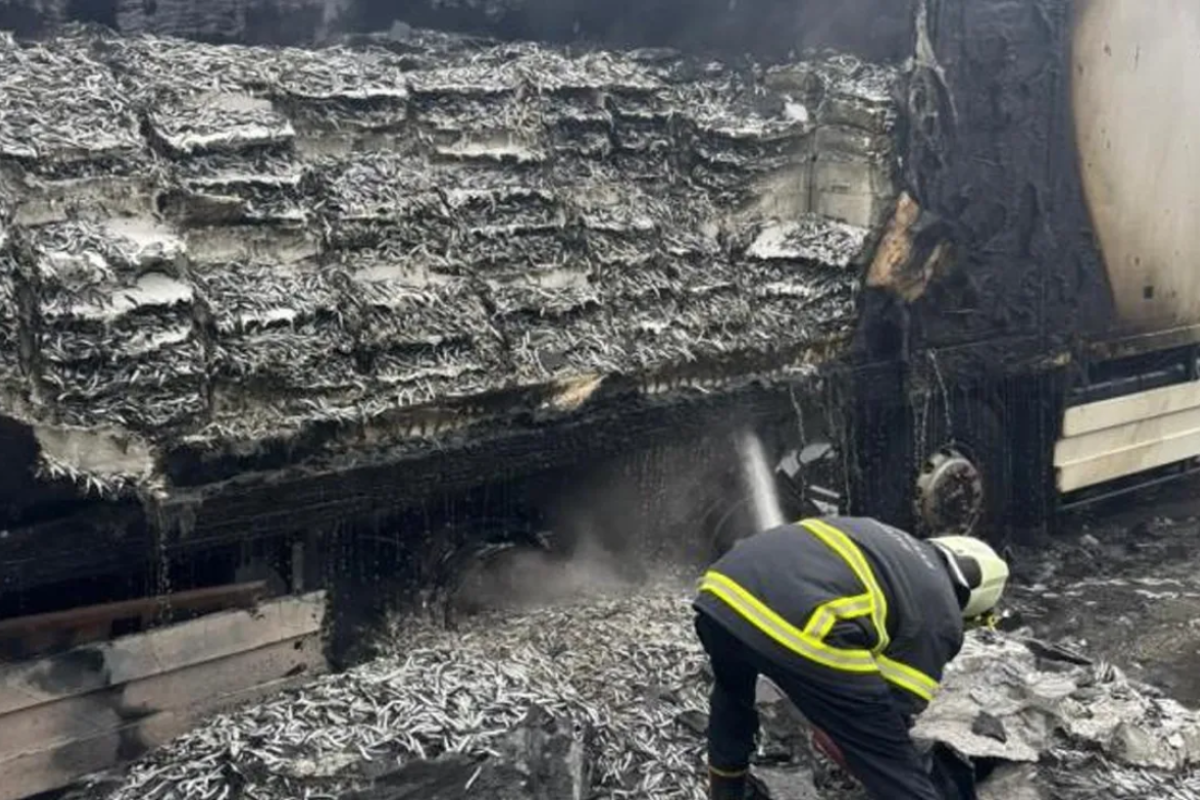 Kırklareli'nde hamsi yüklü tır yandı 