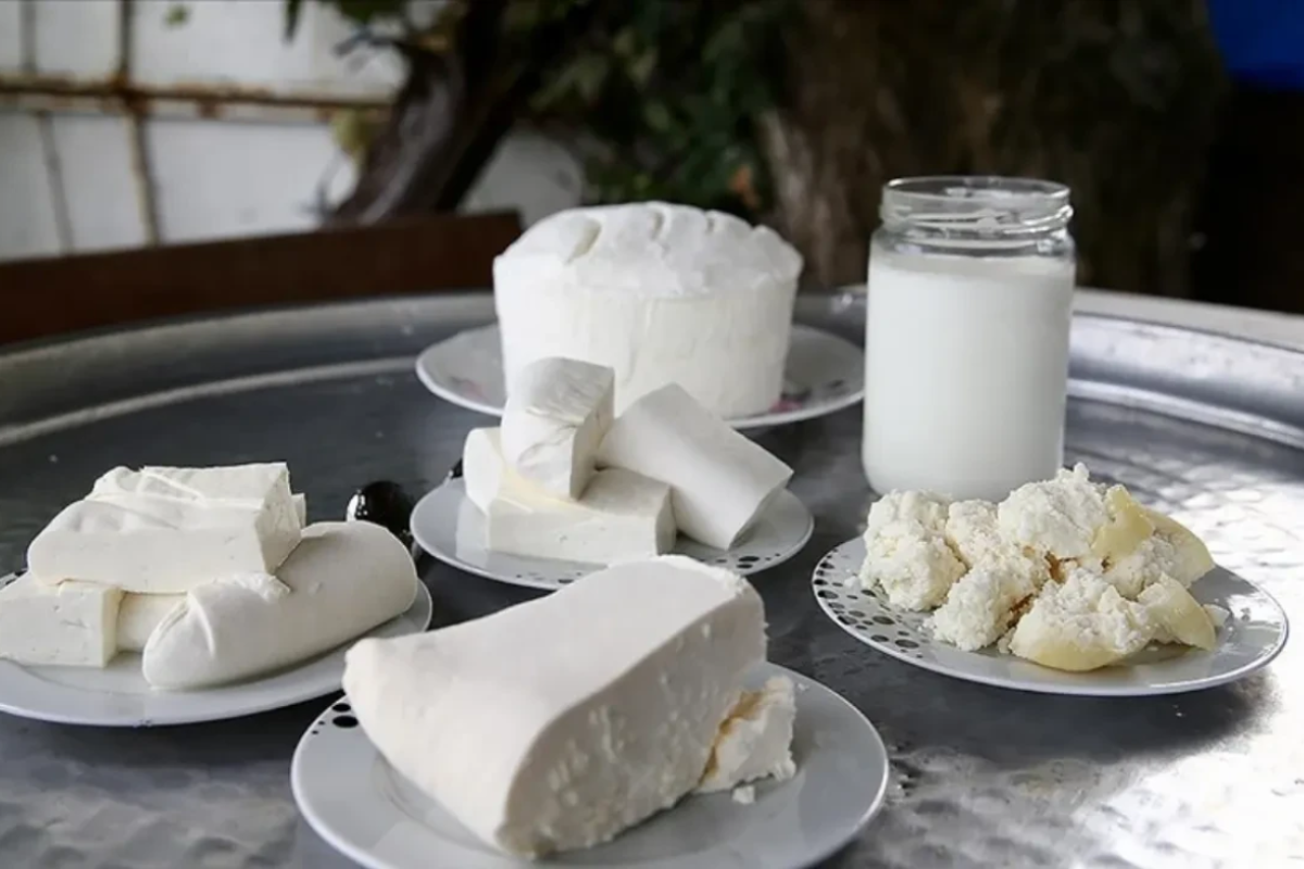 TÜİK süt ve süt ürünleri üretimi verilerini açıkladı 