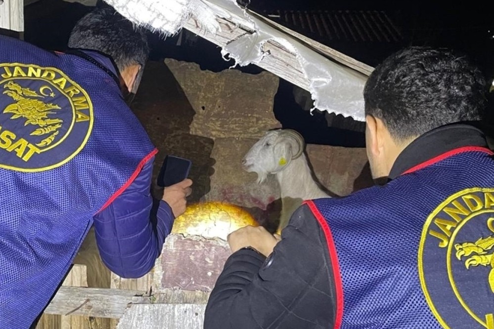 Küçükbaş hayvan çaldıkları iddia edilen 4 kişi yakalandı 