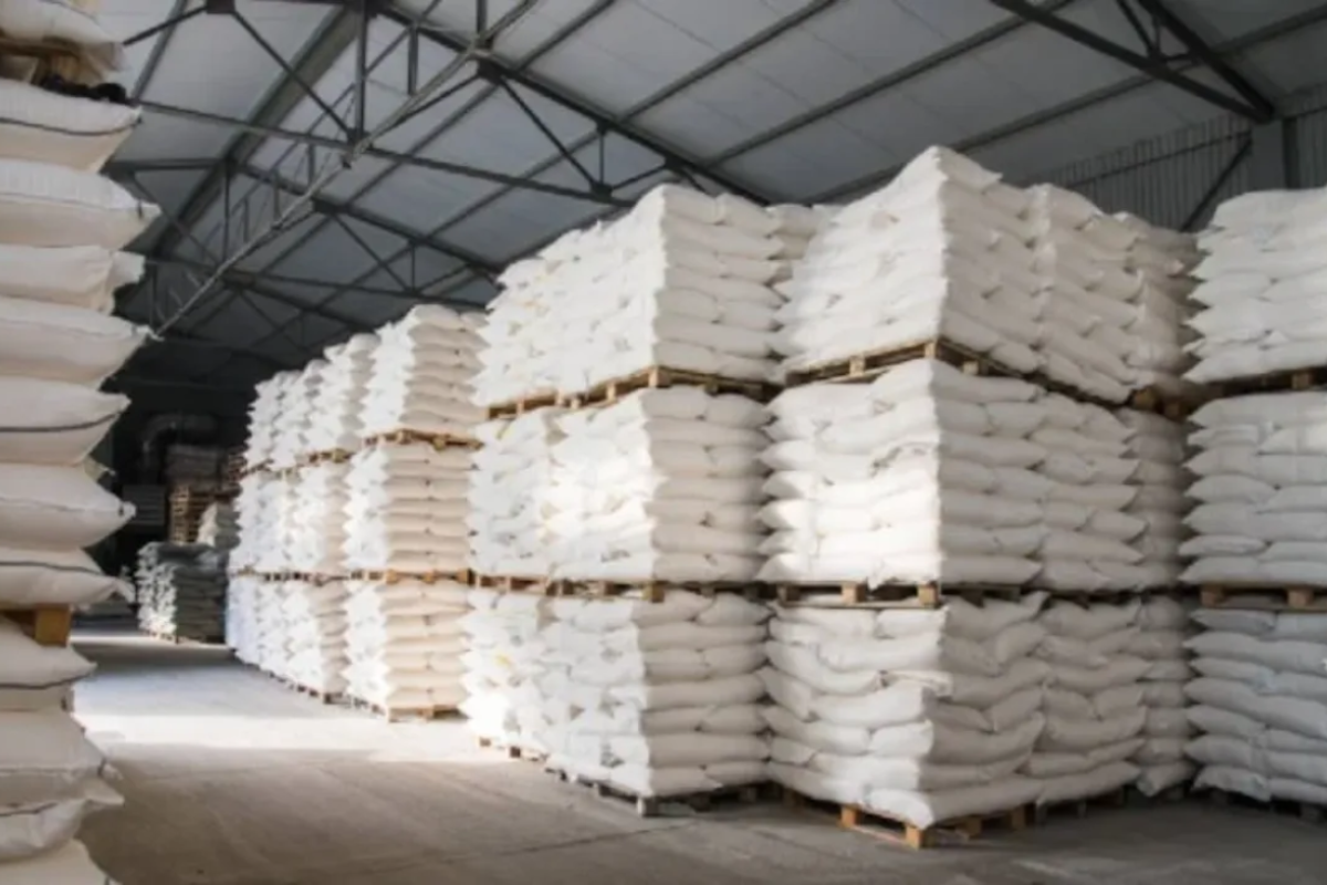 Türkiye'ye milyonlar kazandıracak!