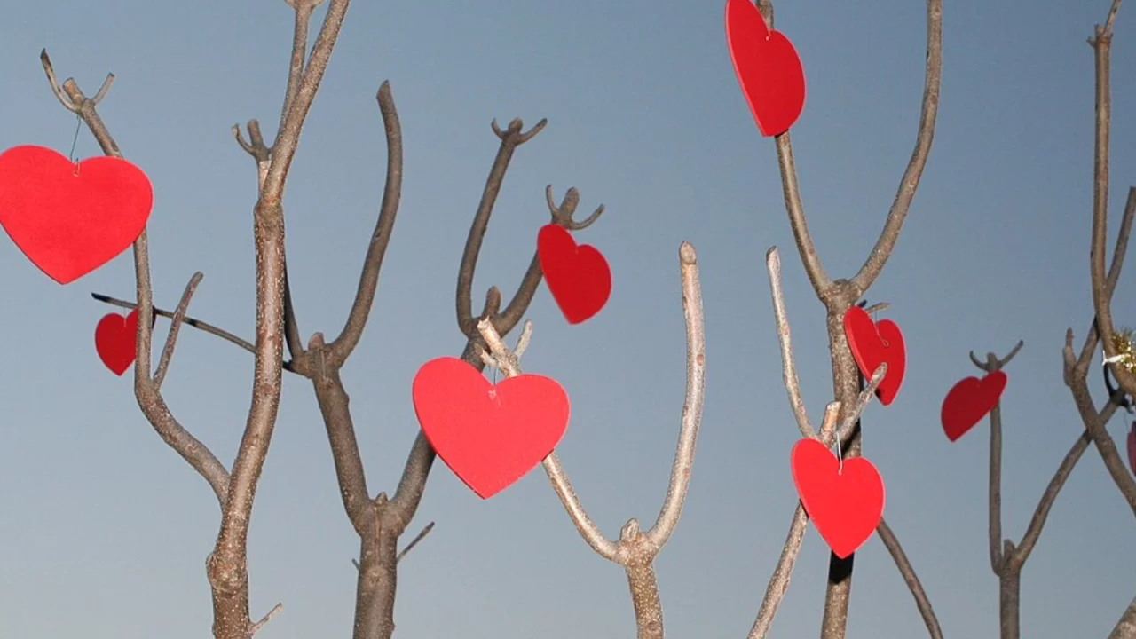 14 Şubat Sevgililer Günü neden kutlanır? İşte Aziz Valentin'in ölümünden, küresel günün doğuşuna uzanan süreç... 