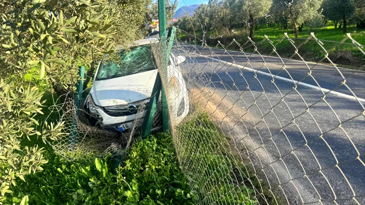 Orhangazi'de kontrolden çıkan otomobil tarlaya daldı