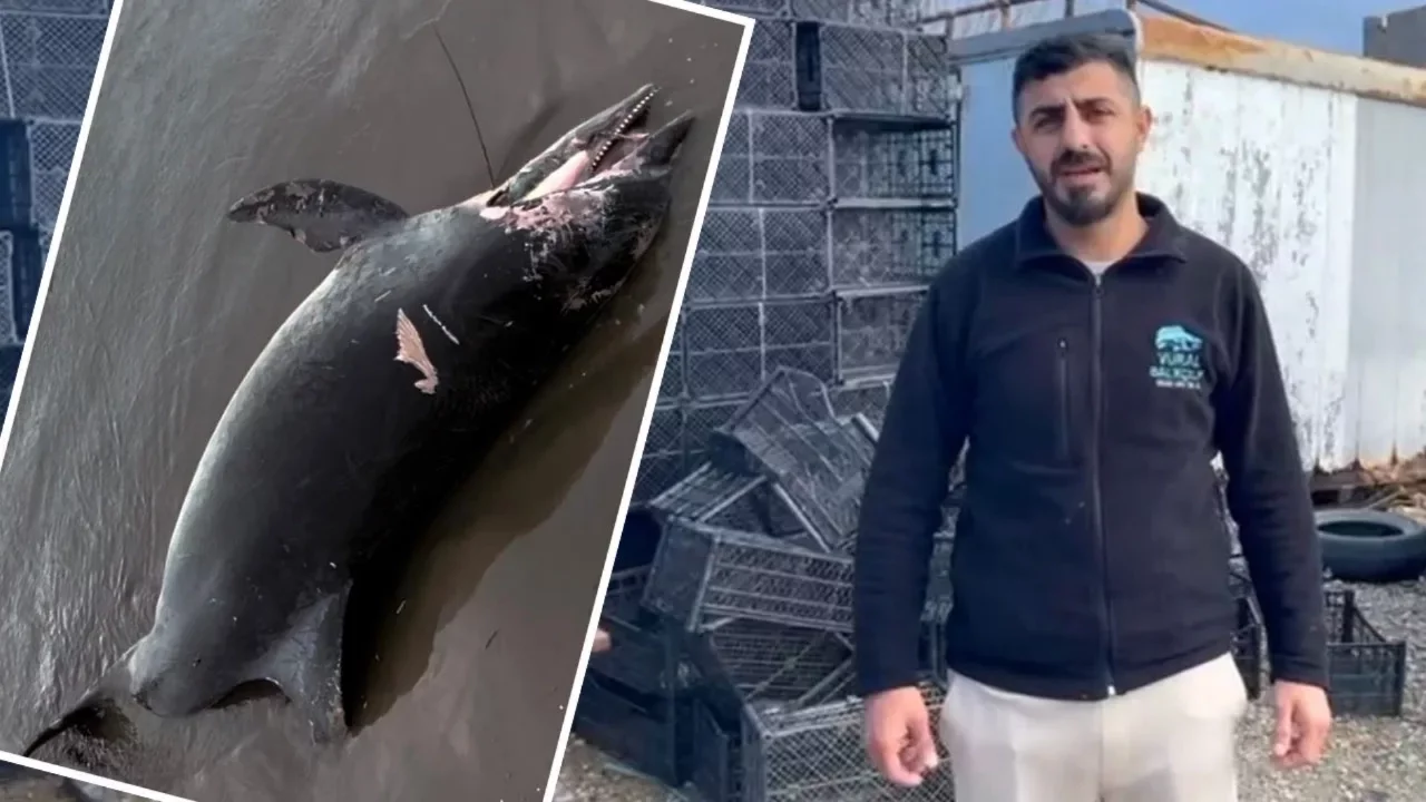 Adanalı balıkçılar fark etti! Ölüsü sahilde bulundu 
