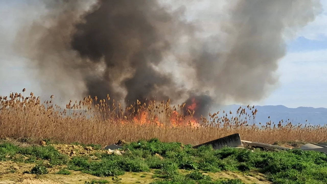 İznik'te sazlık alan alev alev... Rüzgar alevleri büyüttü