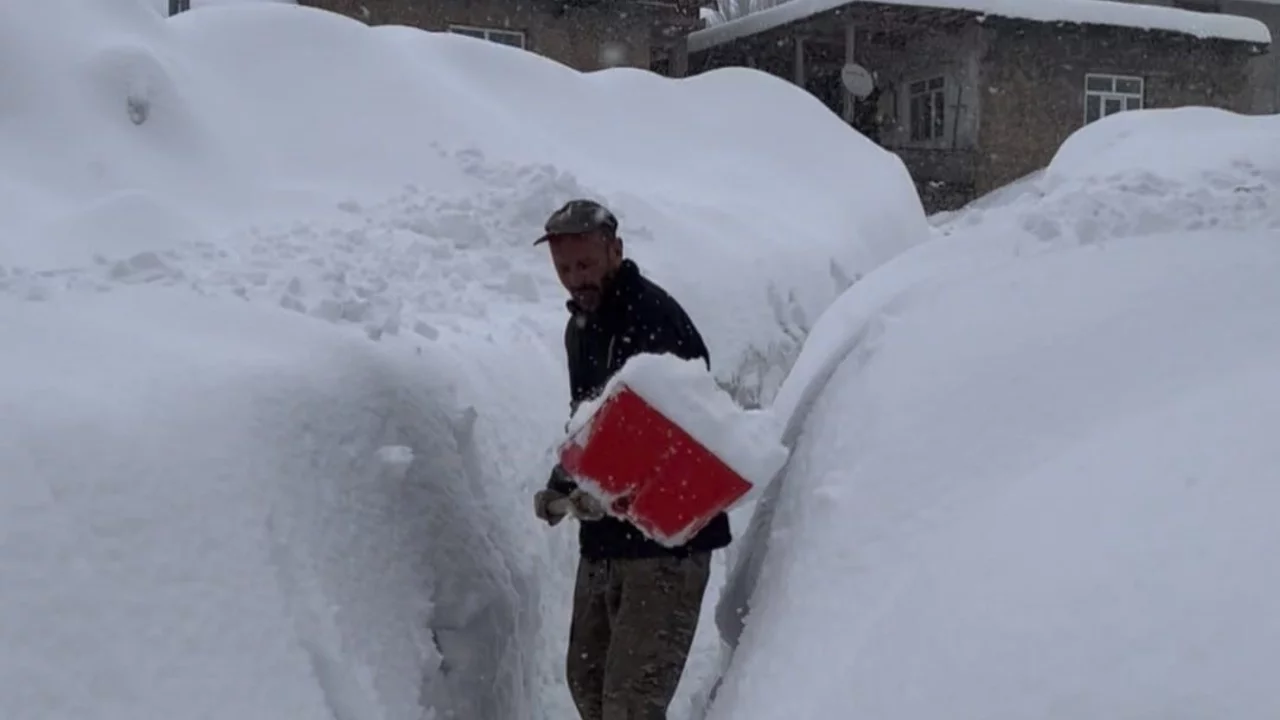 Tunceli'de kar kalınlığı 1,5 metreyi aştı: İnekler karda kayboldu
