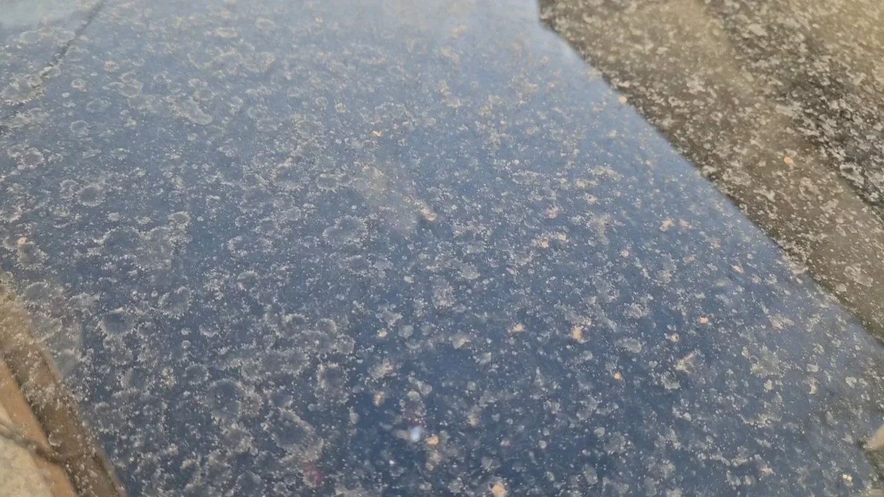 Tekirdağ'da çamur yağdı