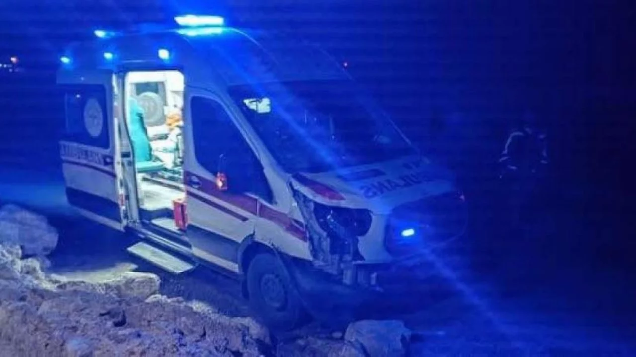Hasta taşıyan ambulans ata çarptı!