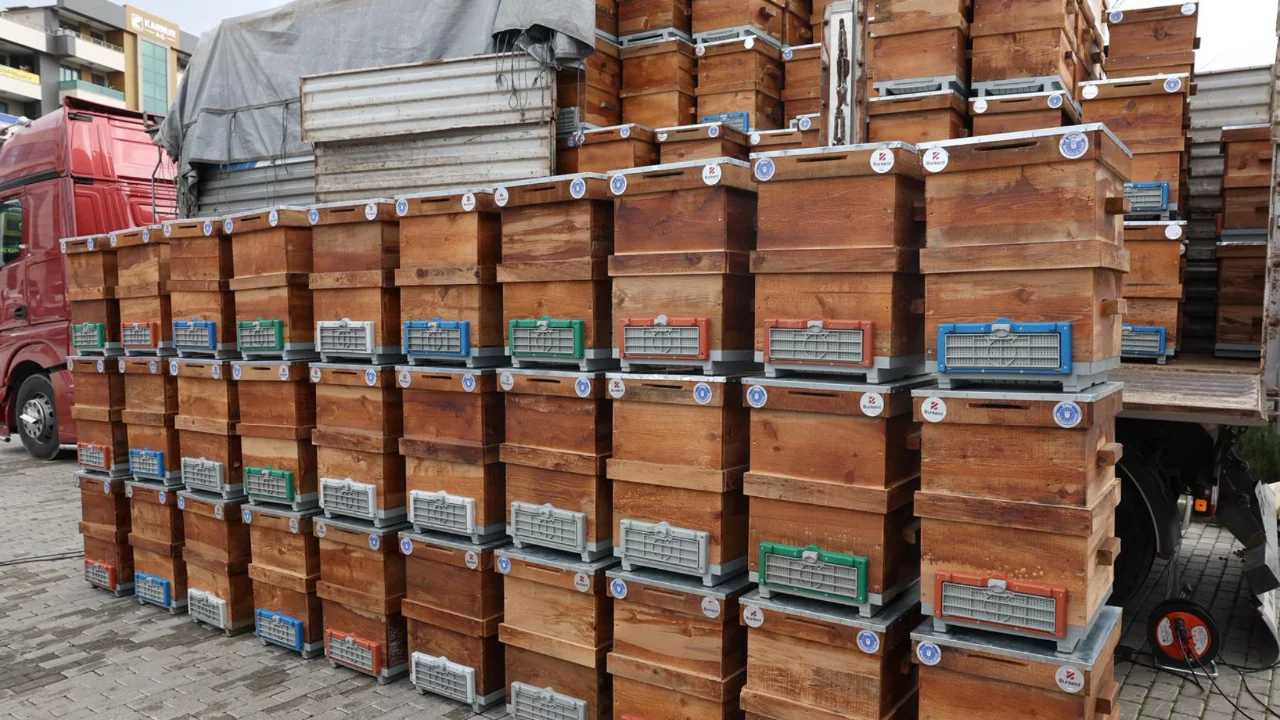 Bursa Büyükşehir'den arıcılara kovan desteği!