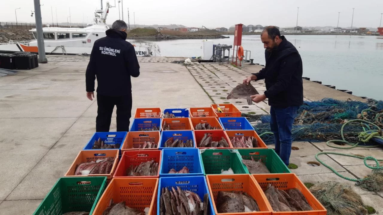 Kaçak avlanan 850 kilo kalkan balığına el konuldu
