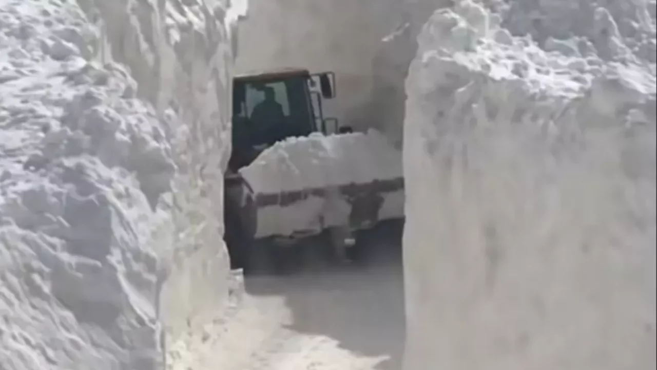 Van'da çığ düşen mahalle yolunda karla mücadele sürüyor