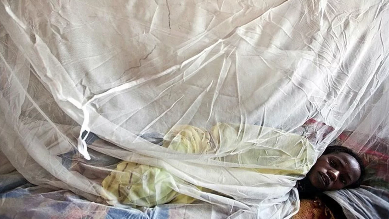 Sinsi hastalık can almaya devam ediyor