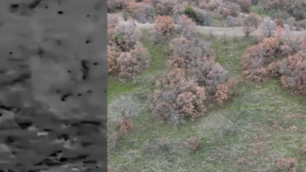 Termal drone destekli denetimde 2 kaçak avcı yakalandı