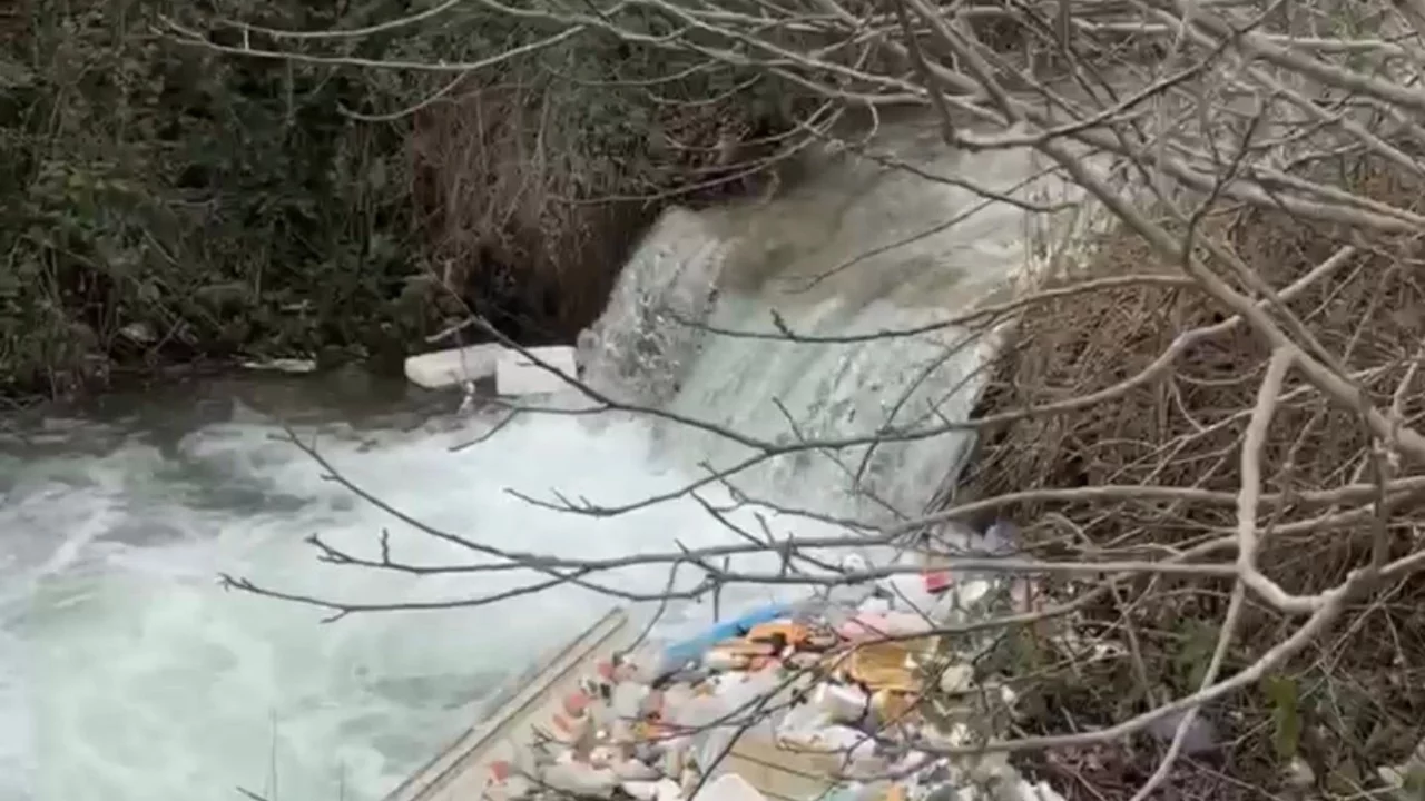 Nilüfer'de dere kenarı çöplüğe döndü! Yıllardır süren kirlilik tepki topladı...