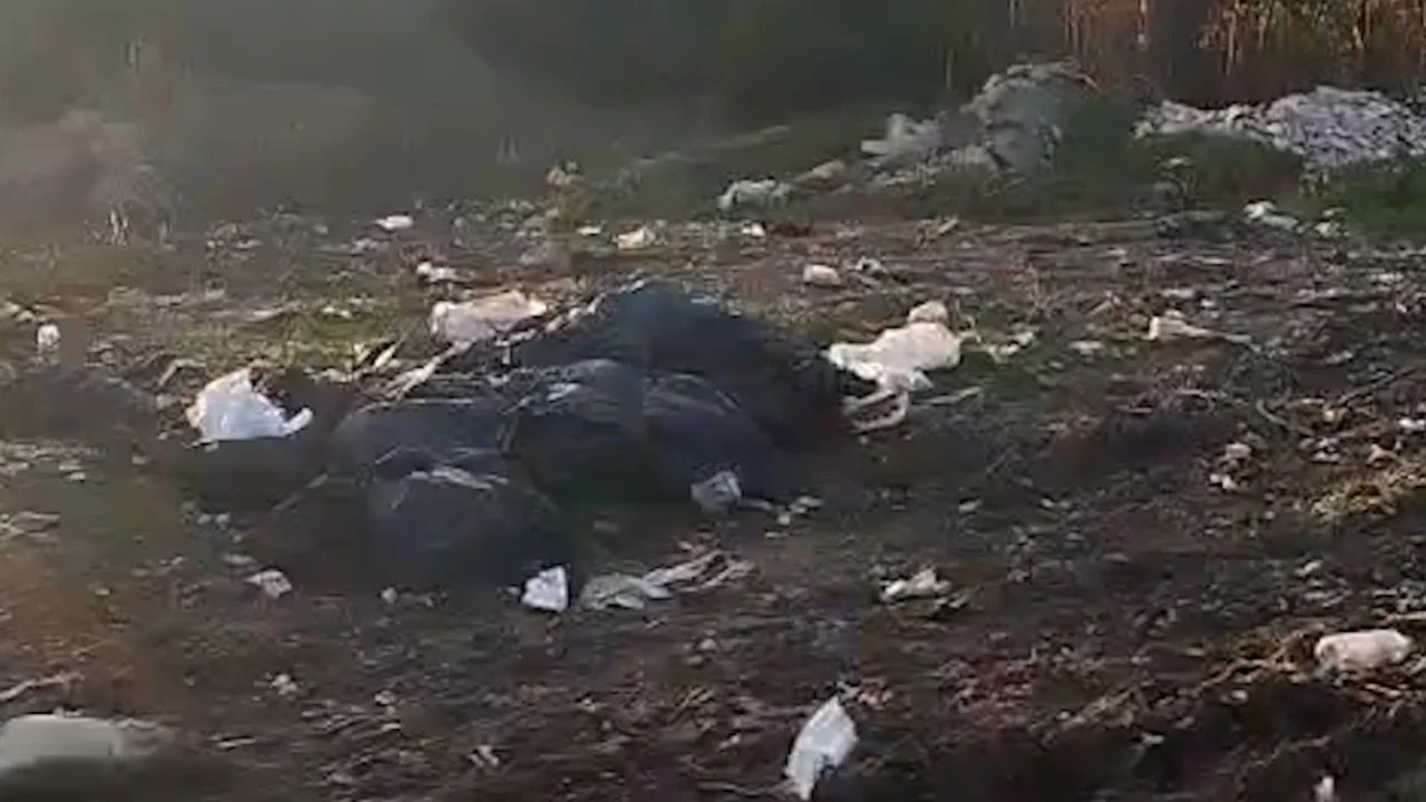Vatandaşların kirlettiği ormanlık alanı muhtar temizledi