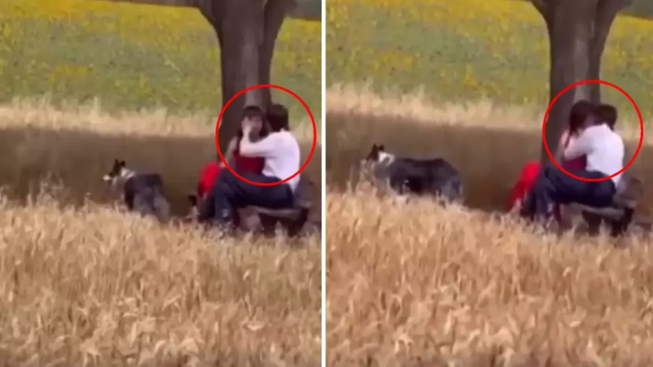 Yer: Adana! Vatandaşlar öpüşme sahnesine kayıtsız kalamadı: Günah günah