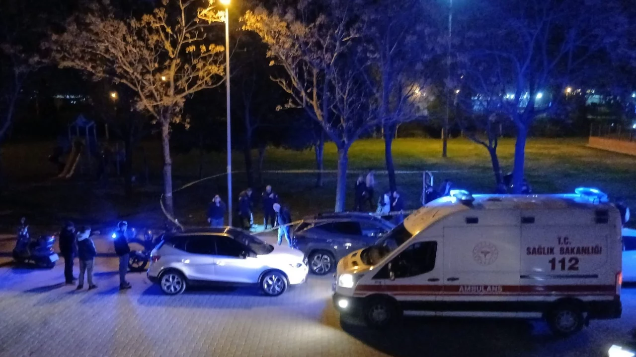 Manisa'da &ccedil;ıkan silahlı ve bı&ccedil;aklı kavgada iki kardeş yaralandı