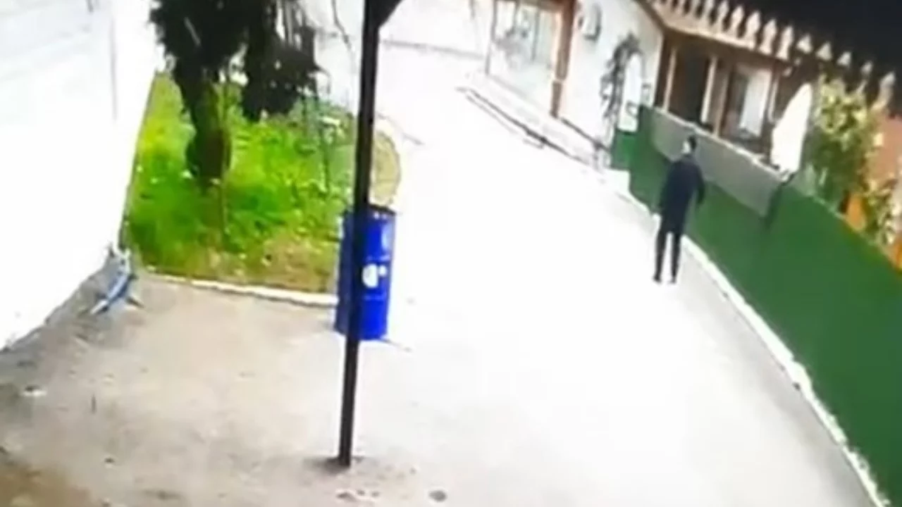 Tokat'ta fırtınanın devirdiği ağacın altında kalmaktan son anda kurtuldu