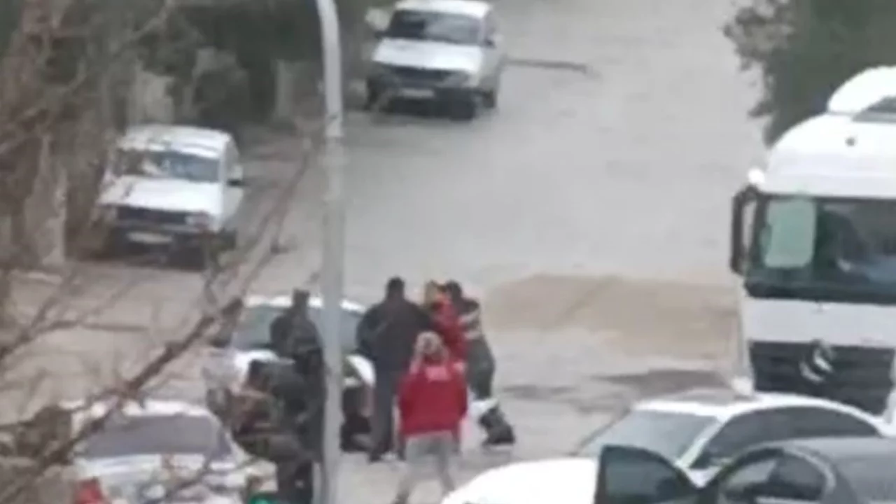 Adana'da bir kadının karıştığı sopalı kavga g&ouml;r&uuml;nt&uuml;lendi