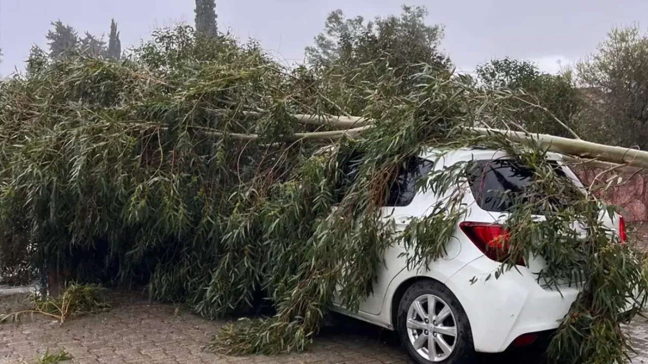 Adana'da sağanak ve şiddetli rüzgar hayatı olumsuz etkiledi