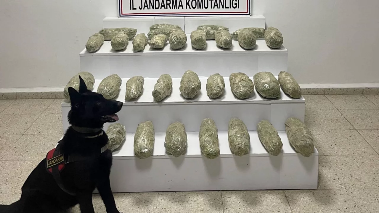 Van kırsalında 21 kilo 350 gram skunk ele ge&ccedil;irildi