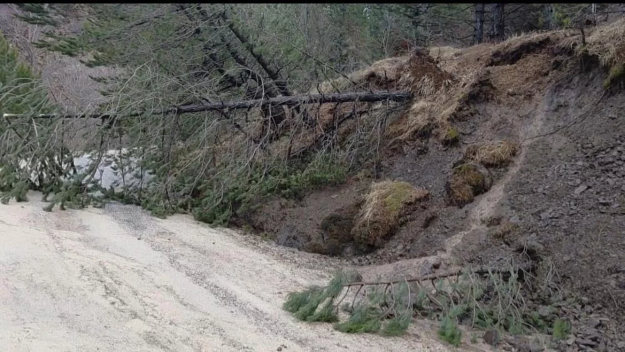 Amasya'da ormanlık alanda heyelan