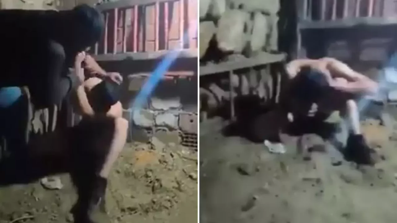 Ahırdaki işkence görüntülerinin ardından jandarma harekete geçti