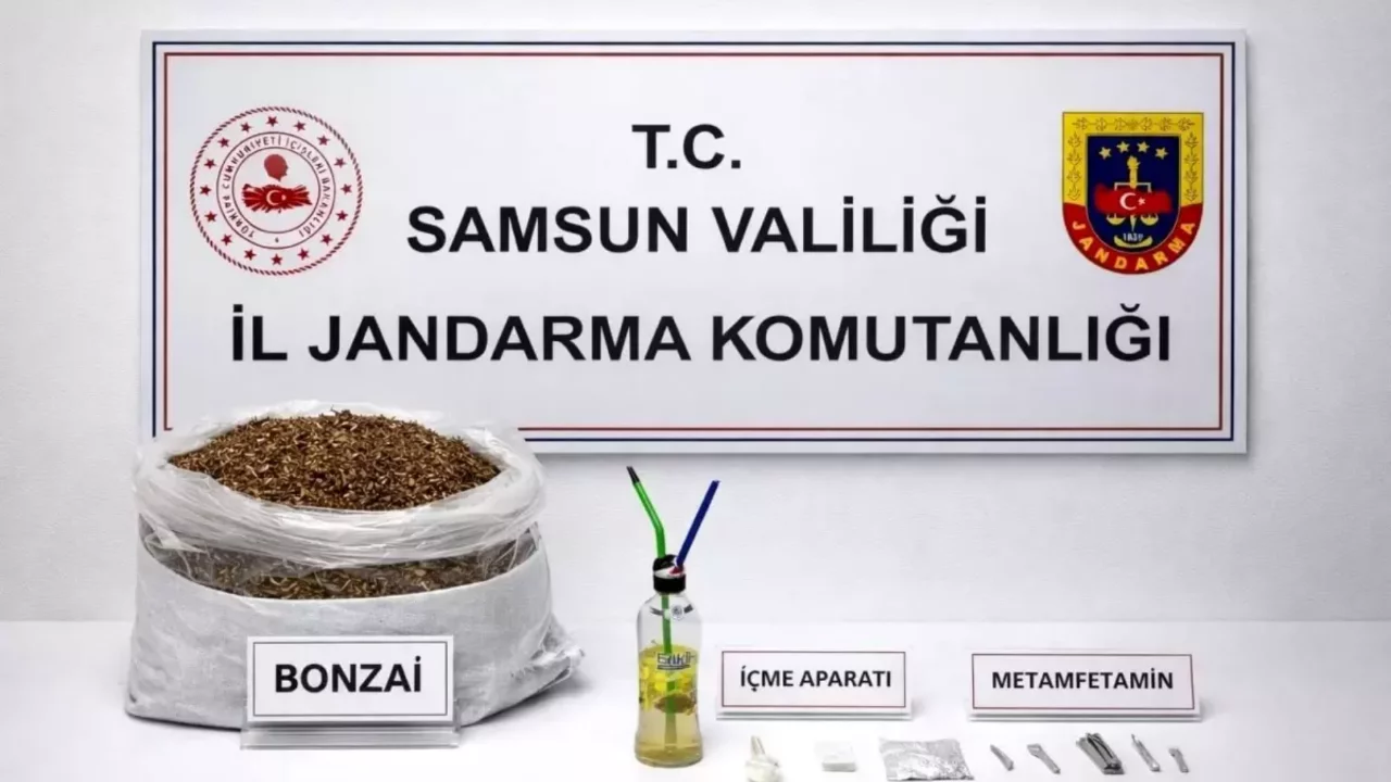 Samsun'da kilo kilo bonzai ele ge&ccedil;irildi