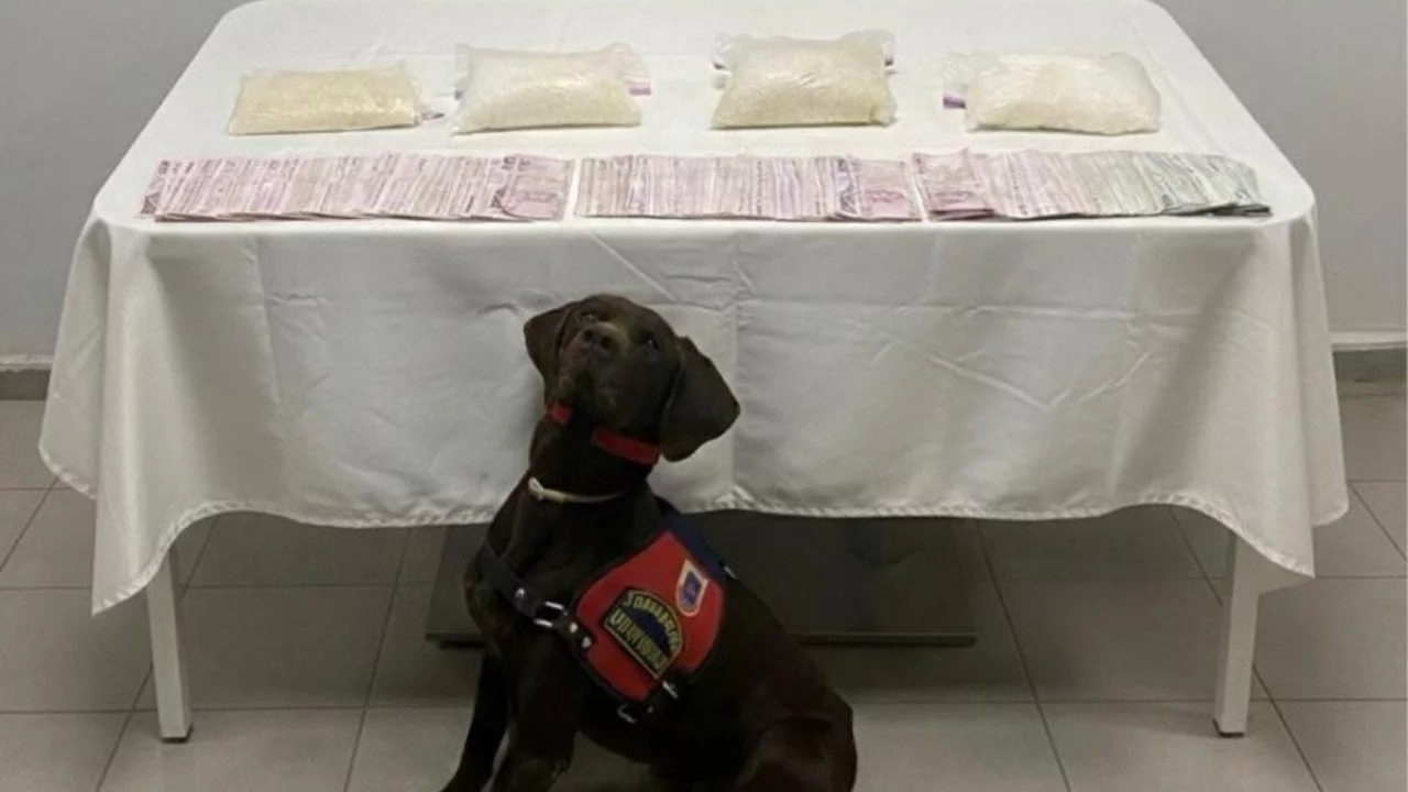 Şanlıurfa'da 4 kilogram uyuşturucu ele geçirildi: 3 gözaltı
