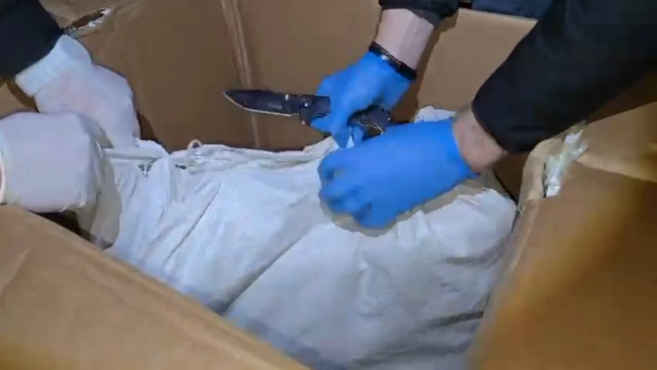 Hatay'da 11 kilo 200 gram skunk ele ge&ccedil;irildi; 1 tutuklama