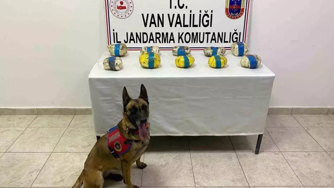 Jandarma kilo kilo uyuşturucu ele geçirdi