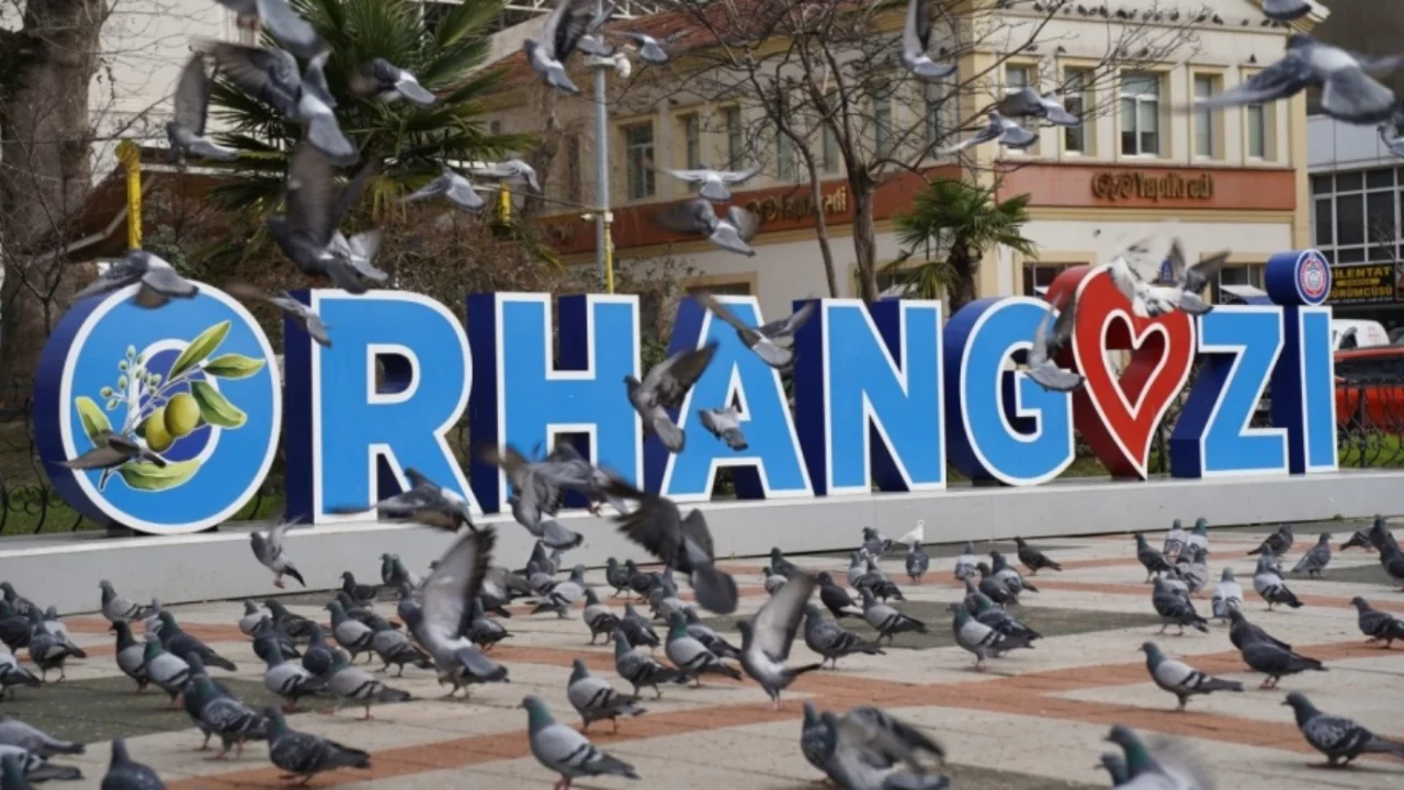 Orhangazi Cumhuriyet alanında Güvercin beslerken günaha girmeyin!