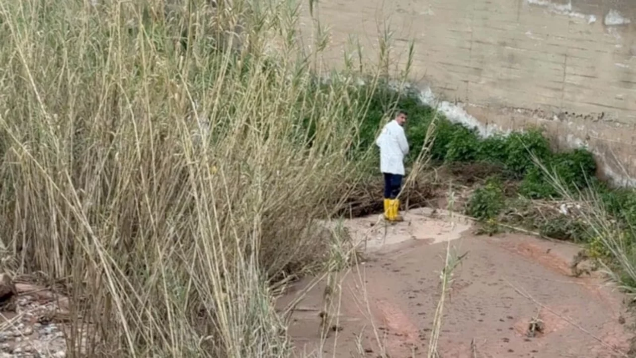 Aydın'da yaşlı çift evlerinde ölü bulunmuştu! Katil zanlısı hurdacı çıktı...