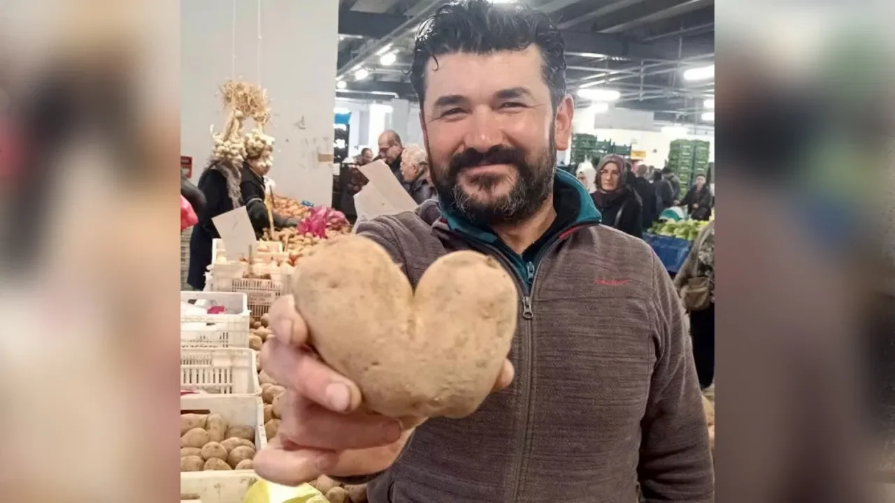 Pazarda tesadüfen gördü! Kalp şeklindeki patates ilgi odağı oldu