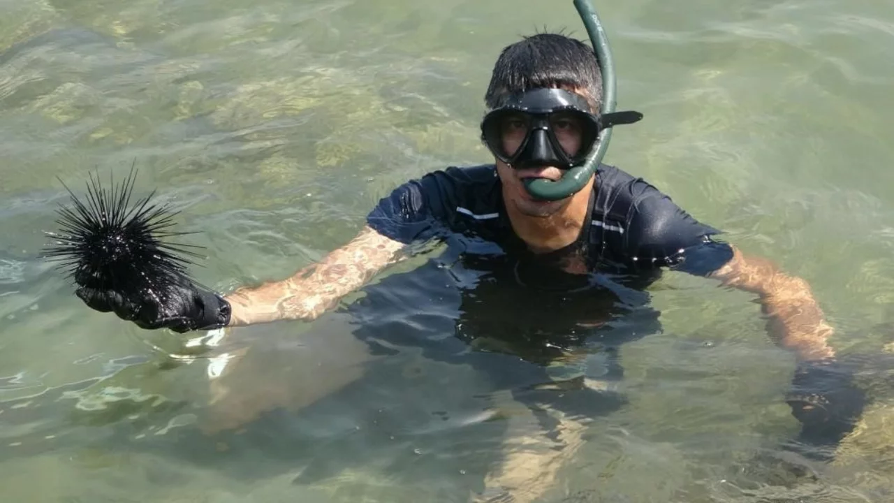 Marmara için kritik uyarı! Çare avcılığı azaltmak