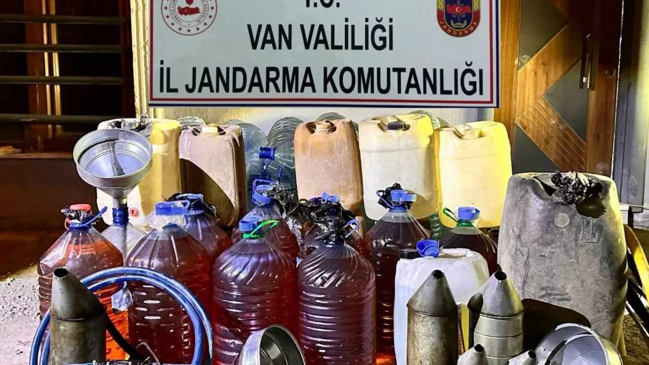 Van'da gümrük kaçakçılığı operasyonu