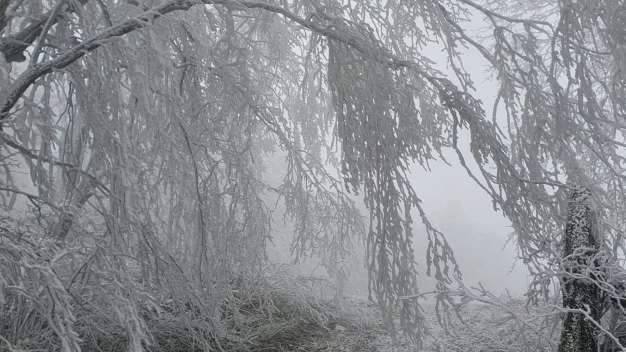 Kırklareli'nin yüksek kesimleri beyaza büründü