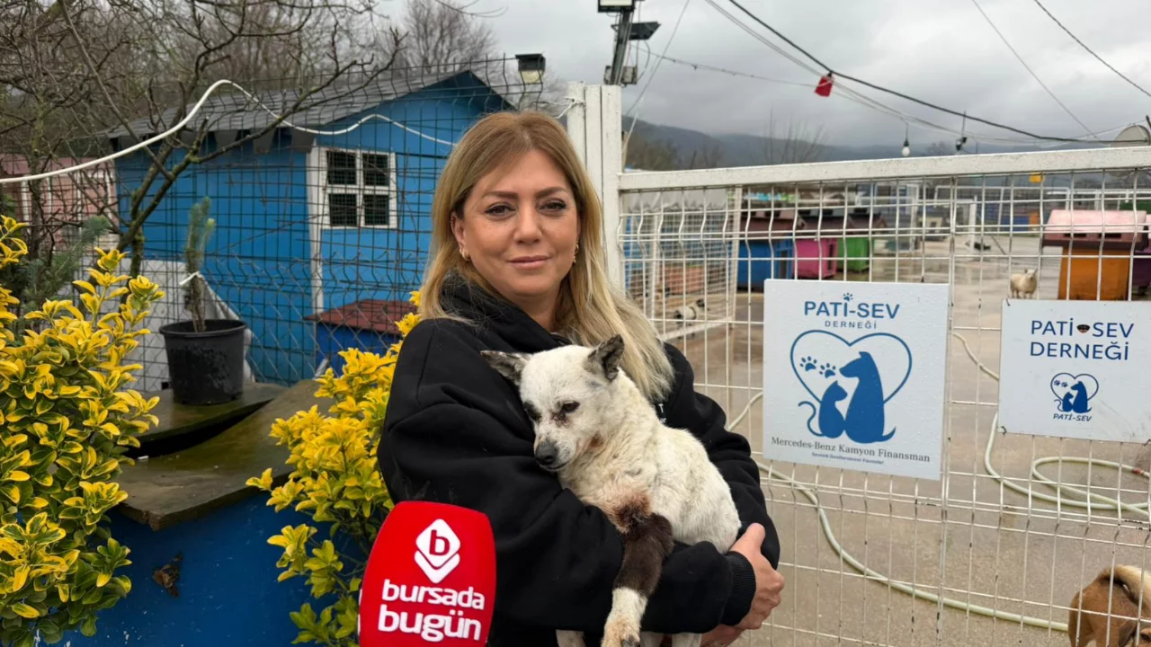 Bursa'da 400 can için umut! Pati-Sev Derneği destek bekliyor... 